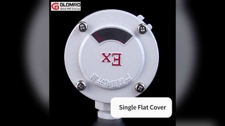 GLO-AH Explosionsgeschützter Anschlusskasten