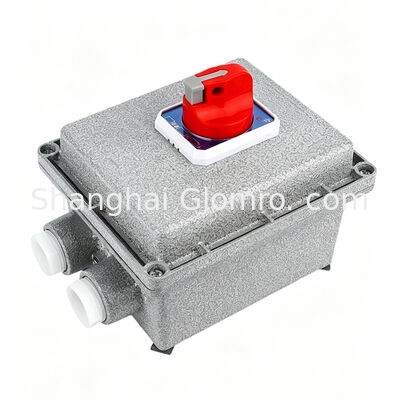 Square Double Pole Explosion-Proof Circuit Breaker IP65 Ex Db Eb Iib T6 6ka Surface Mount AC220/380V Industrial Use

