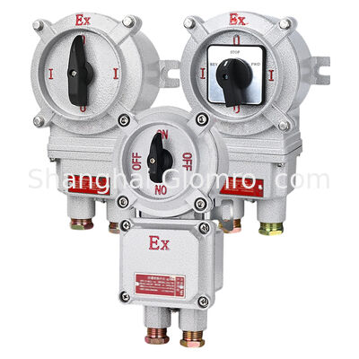IP66 Ex Iic Explosion-Proof Transfer Switch 10A-32A 220V/380V 360 Rotation Aluminum Alloy Hazardous Area Control Switch
