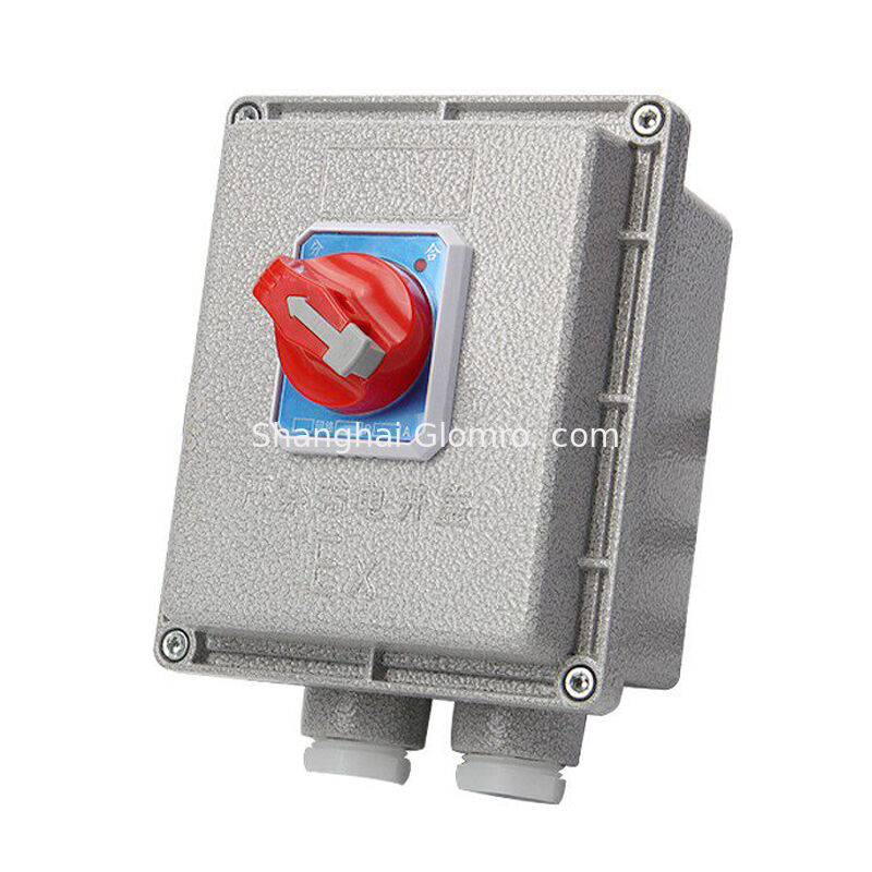 Square 4p Explosion-Proof Circuit Breaker with Leakage Protection Function IP65 Ex Db Eb Iib T6 6ka 50Hz Surface-Mount Circuit