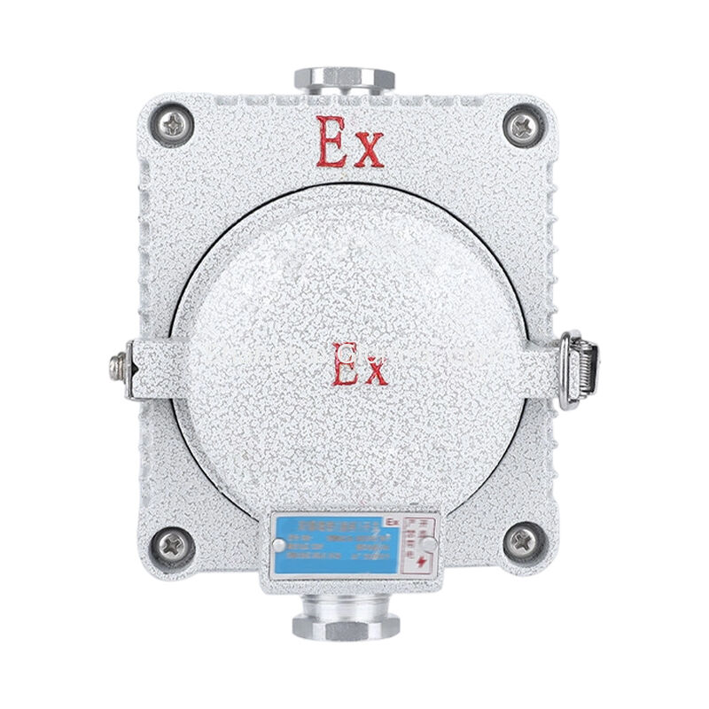 Explosion Proof Wall Socket IP66 Aluminum Alloy Industrial Flameproof Socket 10A 16A 3/5 Holes AC220V