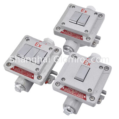 Flammdichte Art Explosionsdichte Wandschalter Oberflächenmontiert Explosionsdichte, Staubdichte und wasserdichte