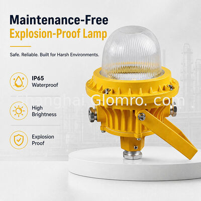 GLOMRO 30W Wartungsfreie Explosionssichere Lampe Gehärtetes Glasdeckel für Lagerhäuser Tankstellen Aufhängungsanlage