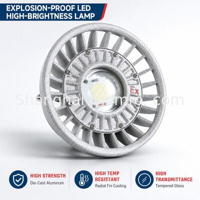 LED-Explosionsschutzleuchte 20W/30W/40W/50W/60W/70W/80W/100W/120W IP66 Druckgussaluminium Gefahrenbereichsbeleuchtung Mehrere Leistungsoptionen