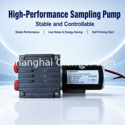 BAXIT PM33387-96 Membran-Gassaugpumpe DC24V bürstenlose Vakuumpumpe für CEMS Rauchgasanalyse