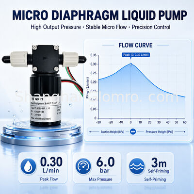 BAXIT PL8060-NF1.10 Hohe 6 Bar Kleine Bürstenlose Membranflüssigkeitspumpe DC12V 24V Wechselgeschwindigkeit Korrosionsbeständiges Mikro-Reagent